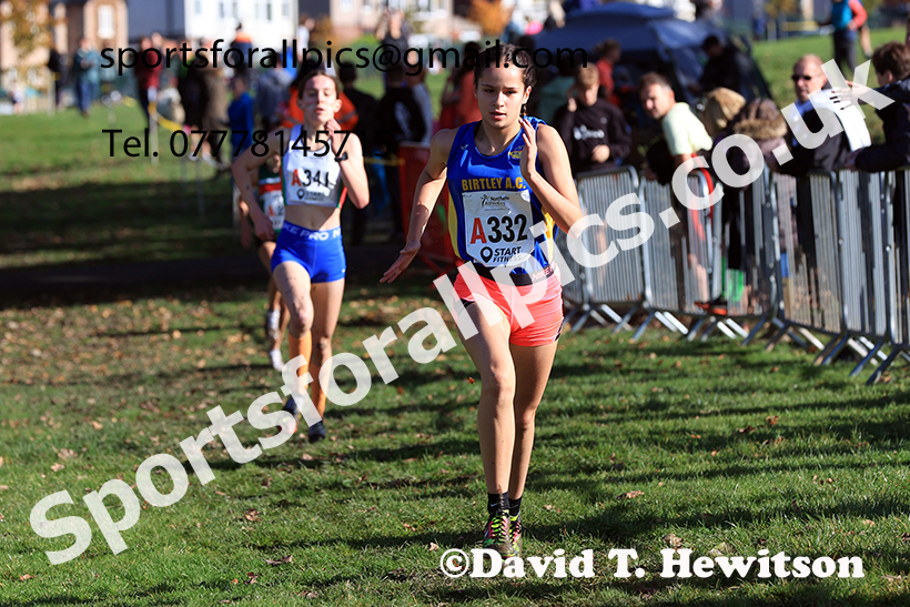Girls under-15s, 2024 Northern Cross Country Relays, Graves Park, Sheffield.   Photo: David T. Hewitson/Sports for All Pics